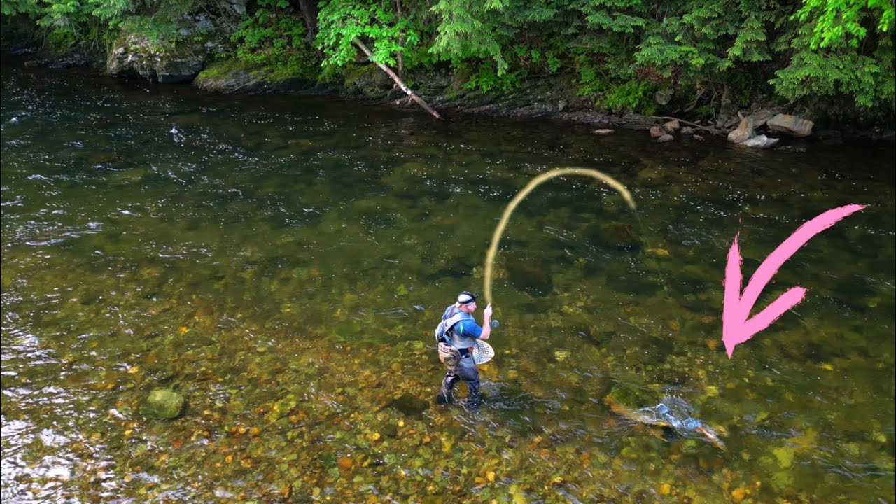 I Caught A TROUT OF A LIFETIME | Fly Fishing A Famous Northeast River!