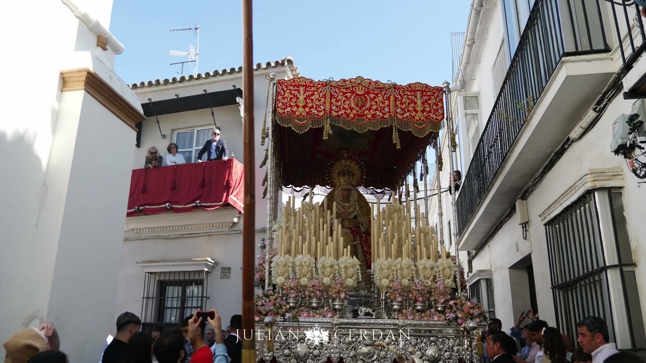 Procesión de Semana Santa en Sevilla | Domingo de Ramos 2025 | Hdad. de la Borriquita