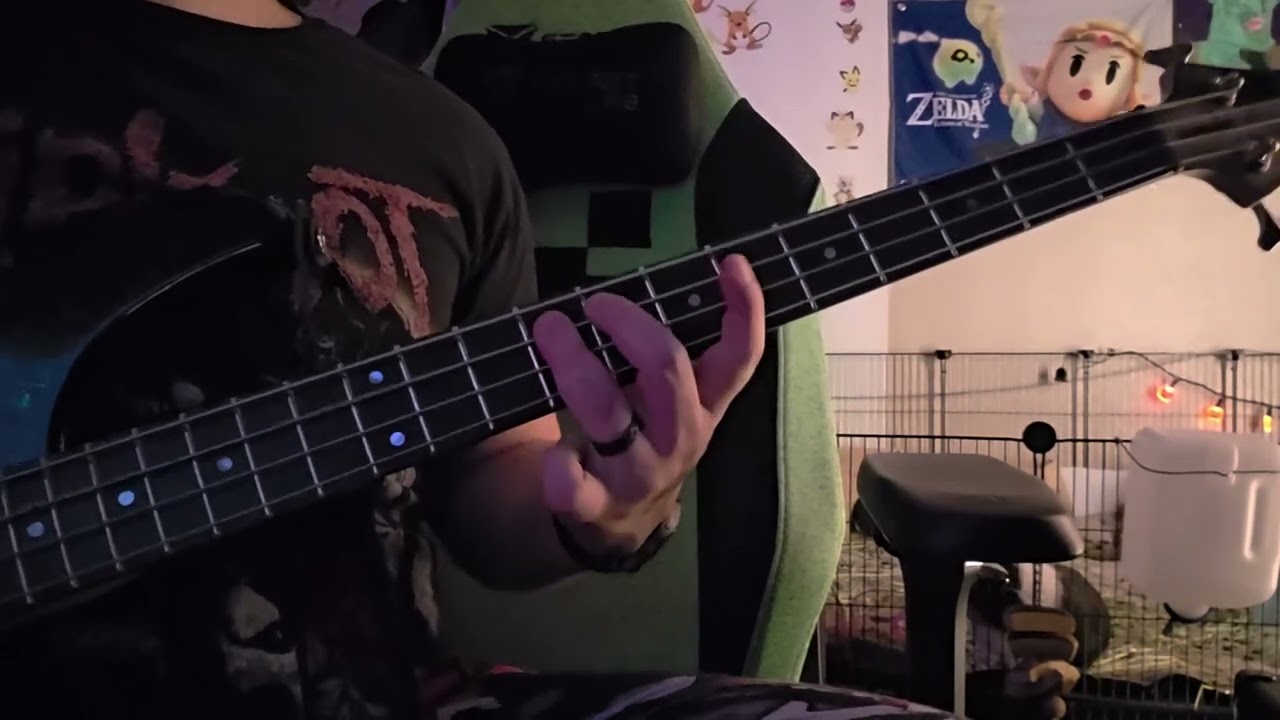 Nirvana - Come as you are (Bass Cover)