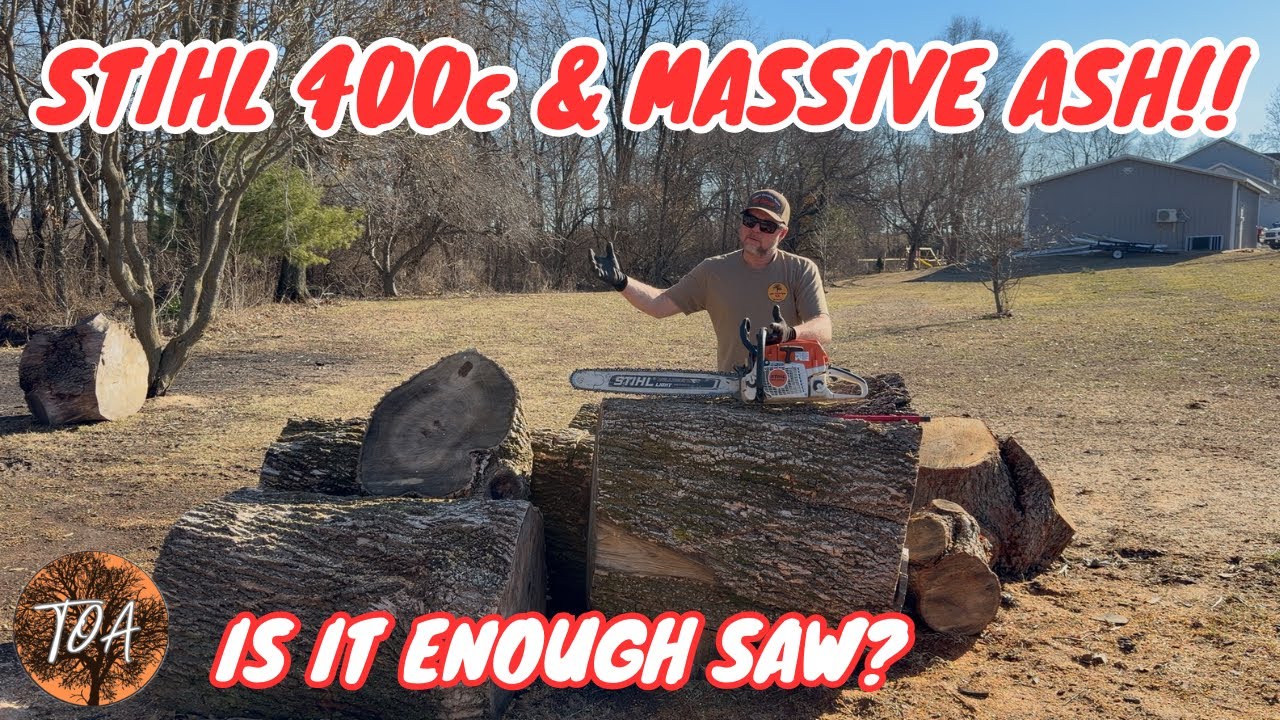Capable Enough… Or Is It Time For A Bigger Saw? #firewood