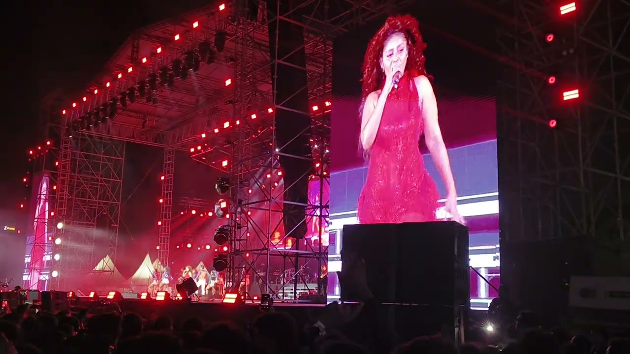 Sunidhi Chauhan Ka Concert Dekhne Gaya #trending #concert #sunidhichauhan 