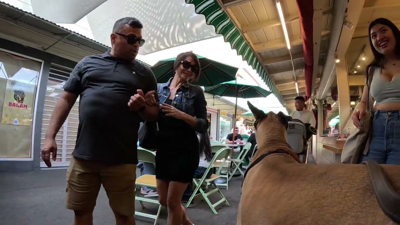 Cash 2.0 Great Dane at The Grove and Farmers Market in Los Angeles 58