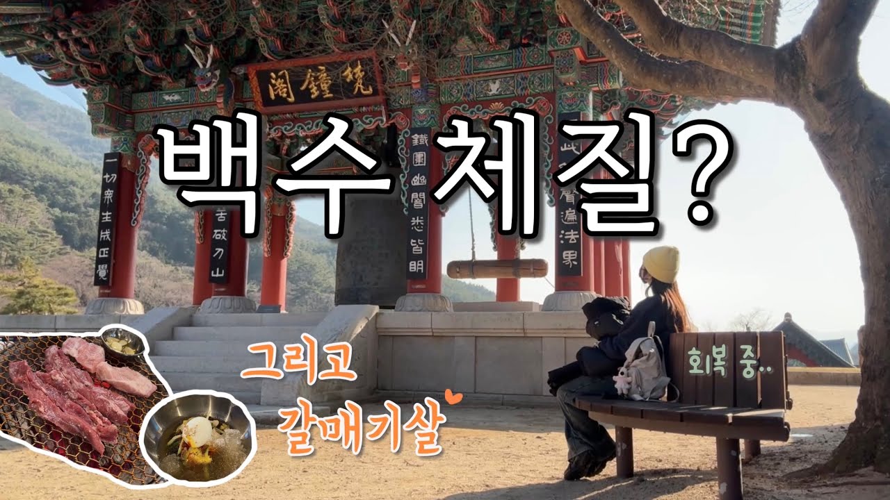화엄사에서 밝혀진 백수의 이유ㅣ그리고 갈매기살