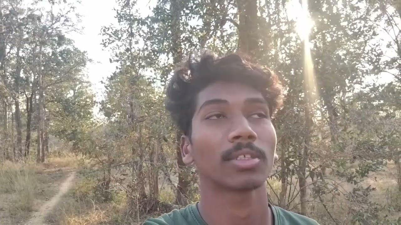 Towards the Moh Tree: A Farm Stroll 🌳