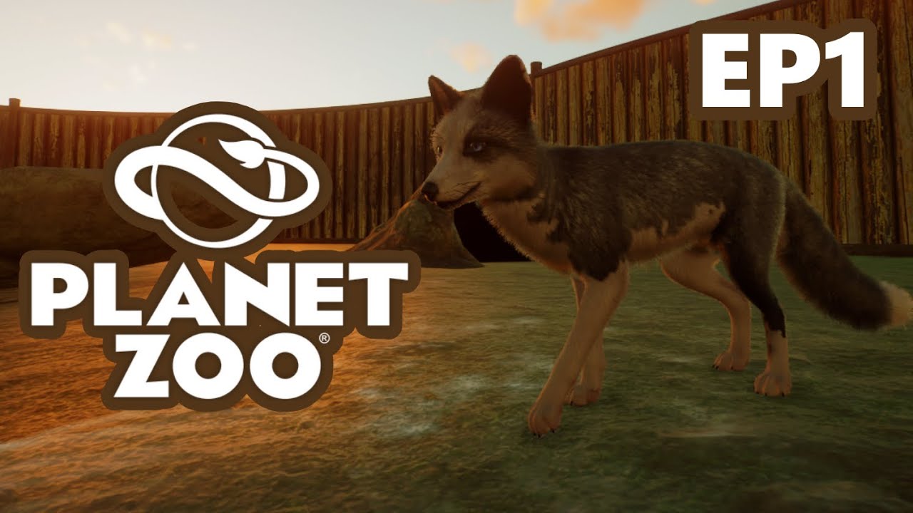 Planet Zoo: New Red Fox Habitat in New Zoo (Wild Haven Zoo EP1)