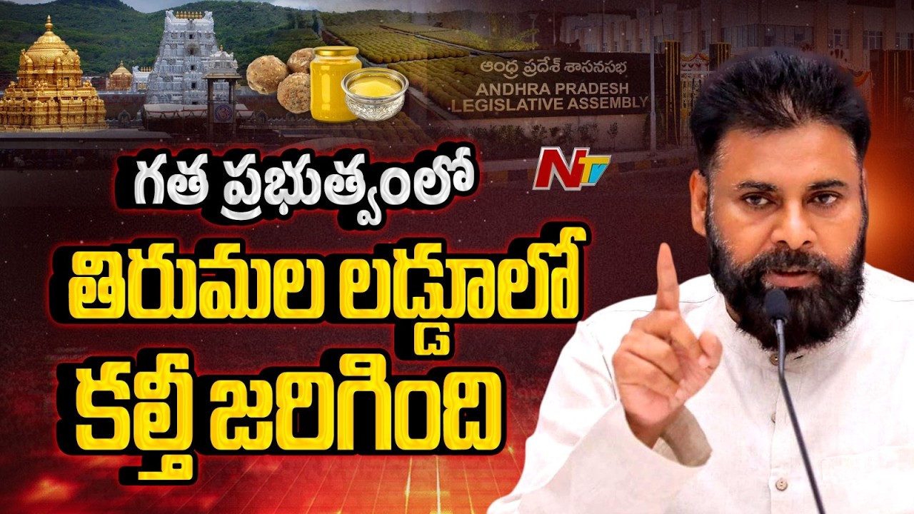 Pawan Kalyan Comments on Laddu Row : లడ్డూ కల్తీ జరిగిందని ఇకనైనా ఒప్పుకుంటే.. ఇంత రచ్చ ఉండదు | NTV
