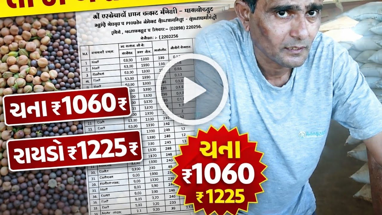 લાઈવ 🔴 લિસ્ટ સાથે જુઓ આજ ની હરાજી | જામજોધપુર માર્કેટિંગ યાર્ડ | જાણો લિસ્ટ દ્વારા આજના બજારભાવ🤔 ||