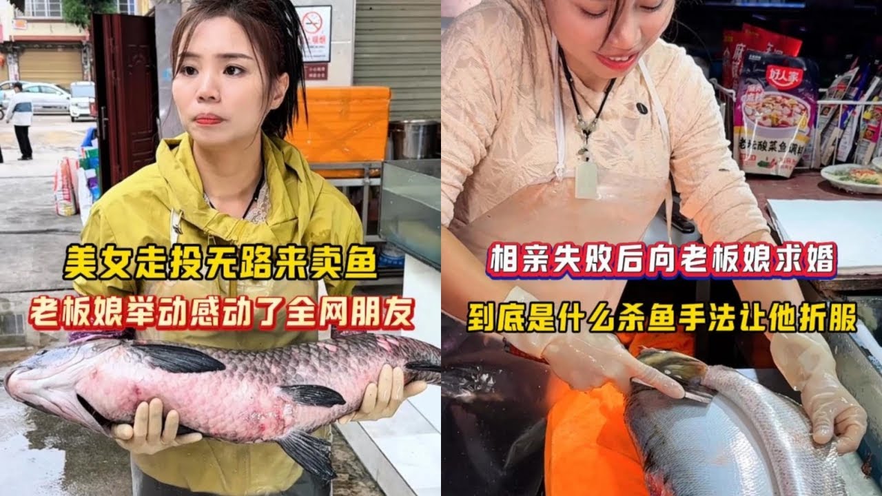美女走投无路来卖鱼，老板娘举动感动了全网朋友！｜相亲失败后向老板娘求婚，到底是什么杀鱼手法让他折服？