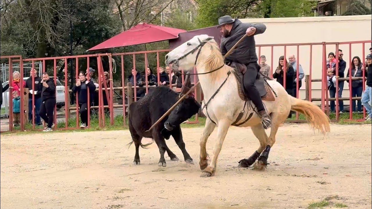 MONTPEZAT FESTIVAL ABRIVADO 14/03/26