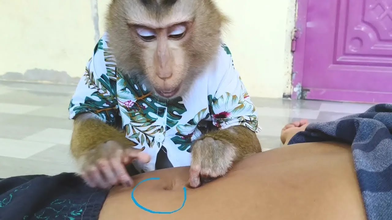 Dr. Bela Soothing Sounds Finding Deny Places To Practice ASMR Grooming Techniques Daily