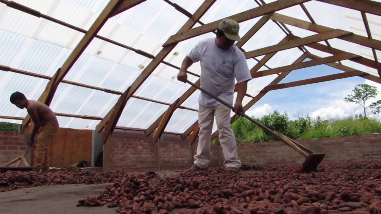 MODULO DE BENEFICIO Y SECADO PARA GRANOS DE CACAO - VRAEM