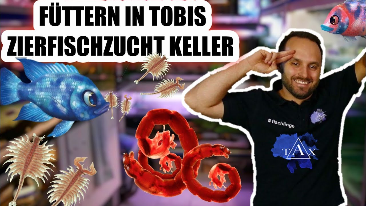 So füttert der Profi seine Fische | Füttern im Zierfischzucht Keller