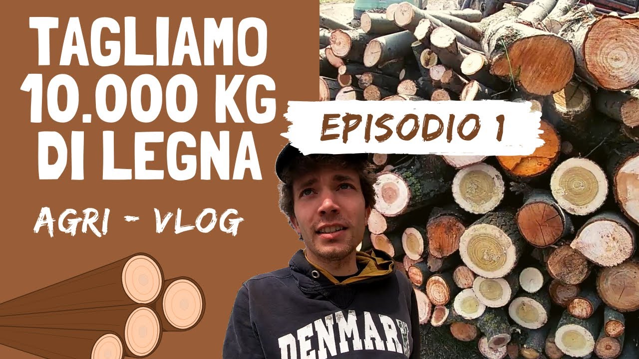 10.000 KG DI LEGNA da TAGLIARE | Ep.1