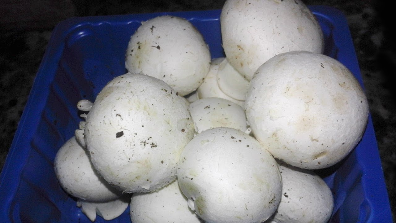 How To Clean Mashroom Before Cooking | मशरूम साफ़ करने का आसान तरीका | Mushroom ki safai kaise kare