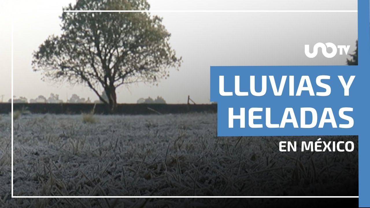 Alerta por clima extremo: frente fr&iacute;o 25 provocar&aacute; lluvias y heladas este martes
