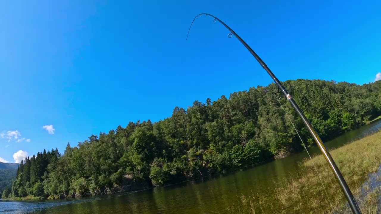 Laksefiske Suldalslågen Wobbler