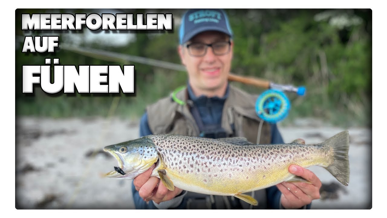 Sturm, Frust & Meerforellen – Unser härtester Trip nach Fünen!