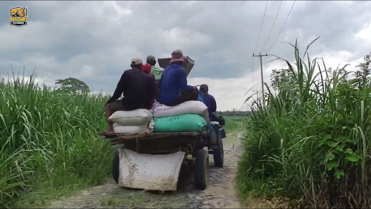 Giling jagung di Kampung Bali, Wirata Agung Mataram. 