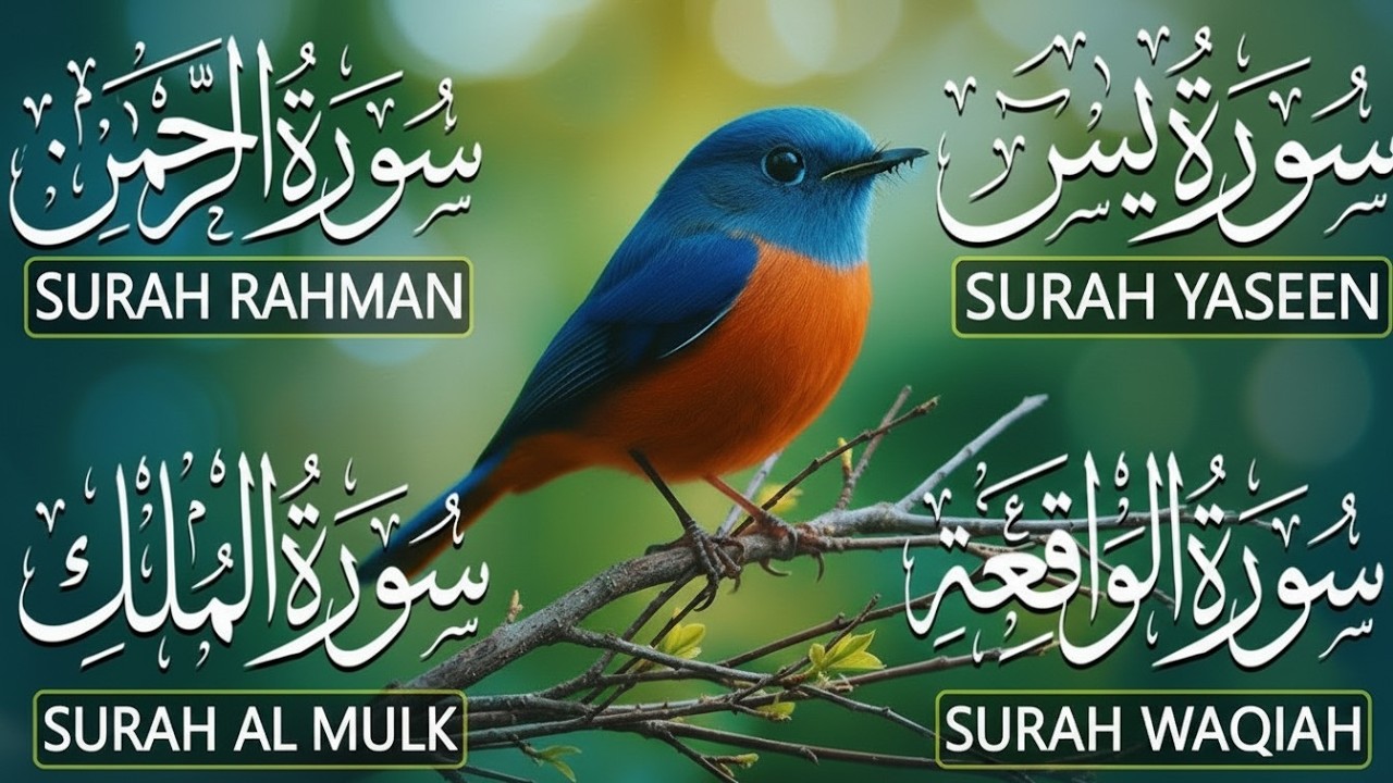 Very Nice Voice Surah Yaseen | Surah Rahman | Surah Waqiah | Surah Mulk l Reciter Bassem Al Asali