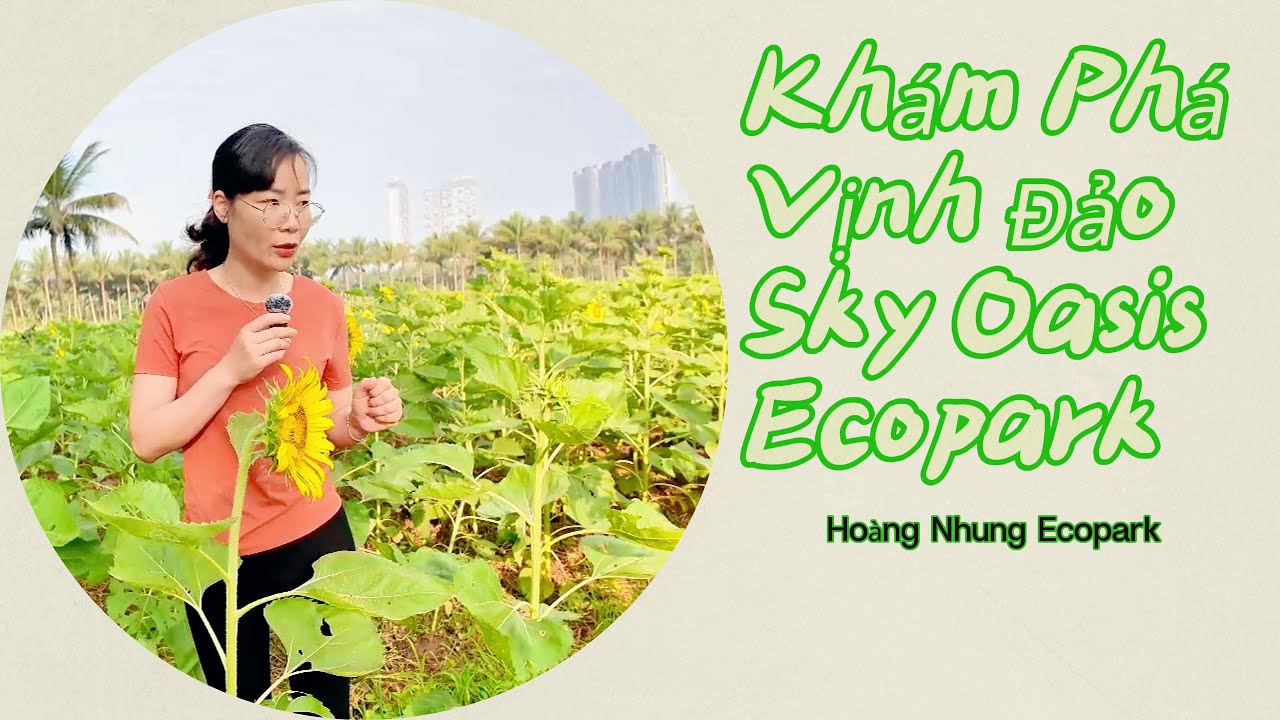 Trải Nghiệm Cung Đường Triệu Đô Tại Ecopark: từ Sky Forest đến Đồi Hoa Hướng DươngTuyệt Đẹp#ecopark