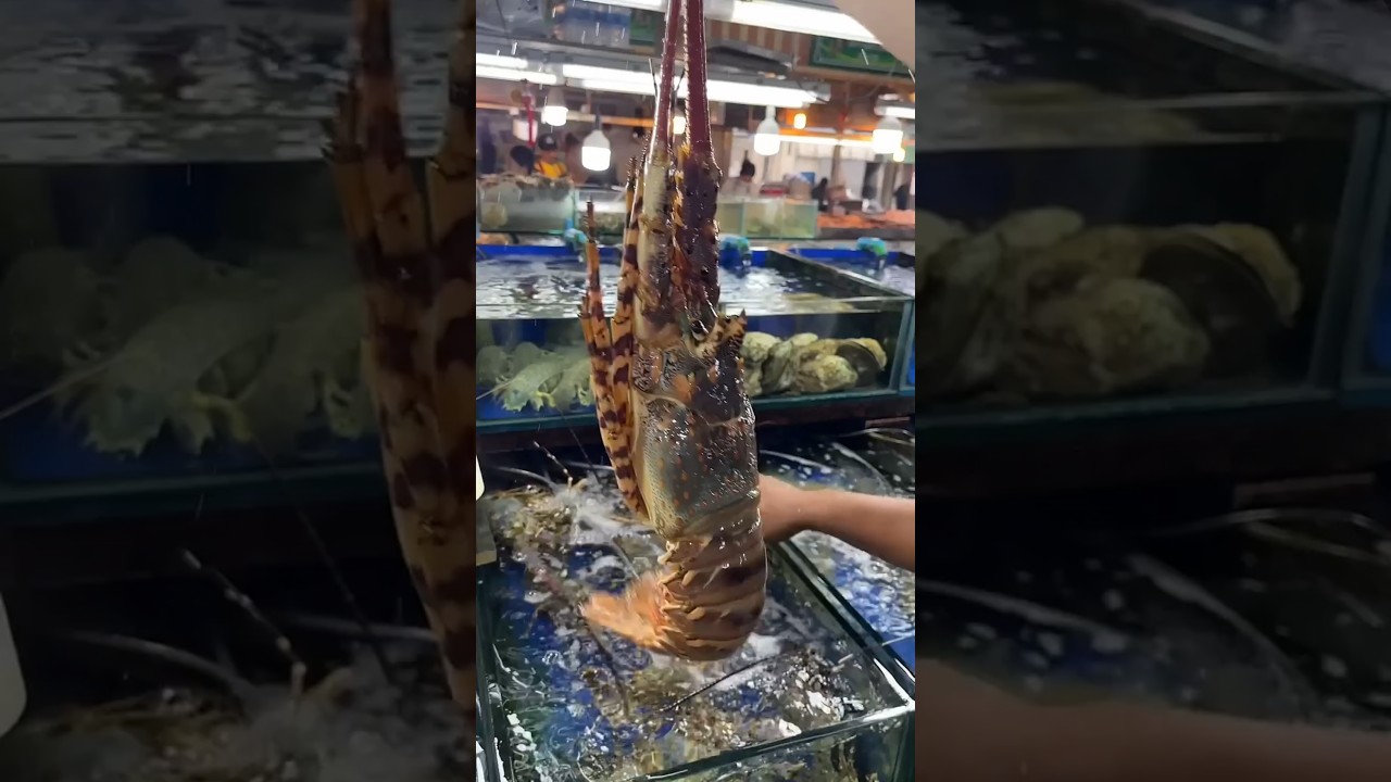 Japanese seafood market 😍❤️ #seafood #japan