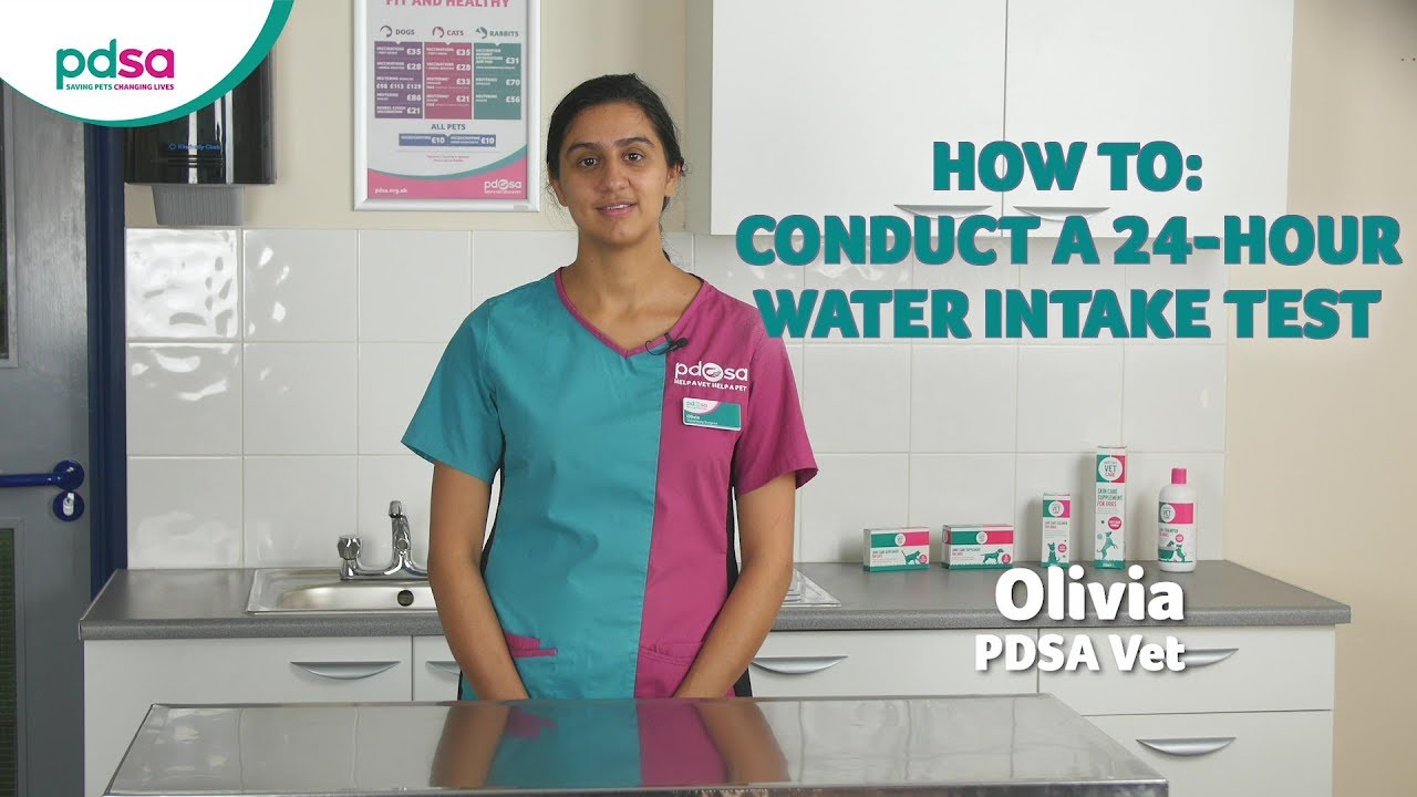 How To Conduct A 24-Hour Water Intake Test: PDSA Petwise Pet Health Hub