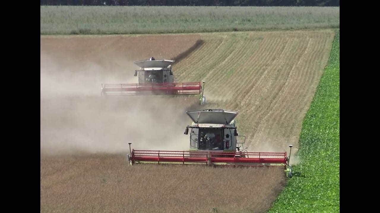 MOISSONS-2018-CLAAS-2 LEXION770-LUYERES-COLZA-AUBE-FRANCE