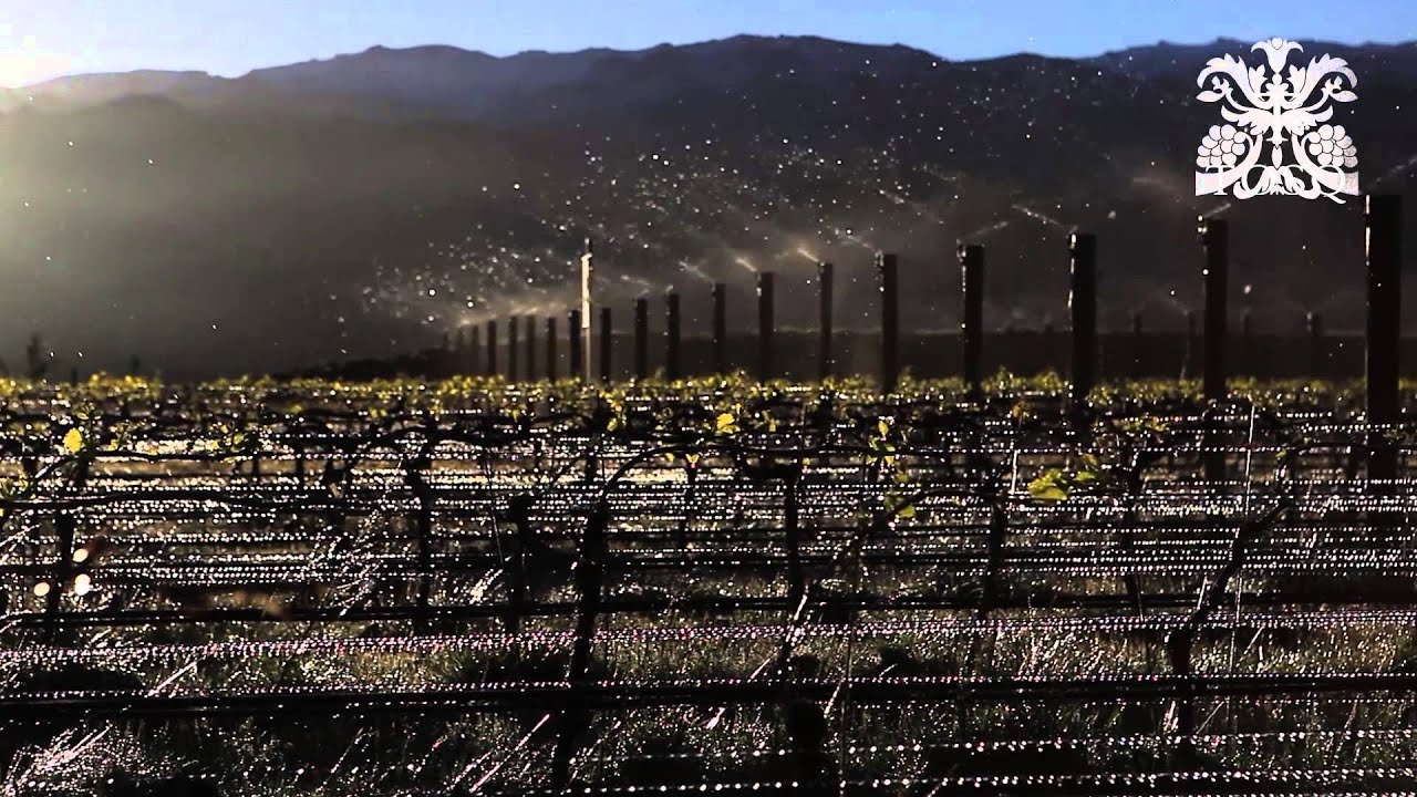 Frost fighting with sprinklers