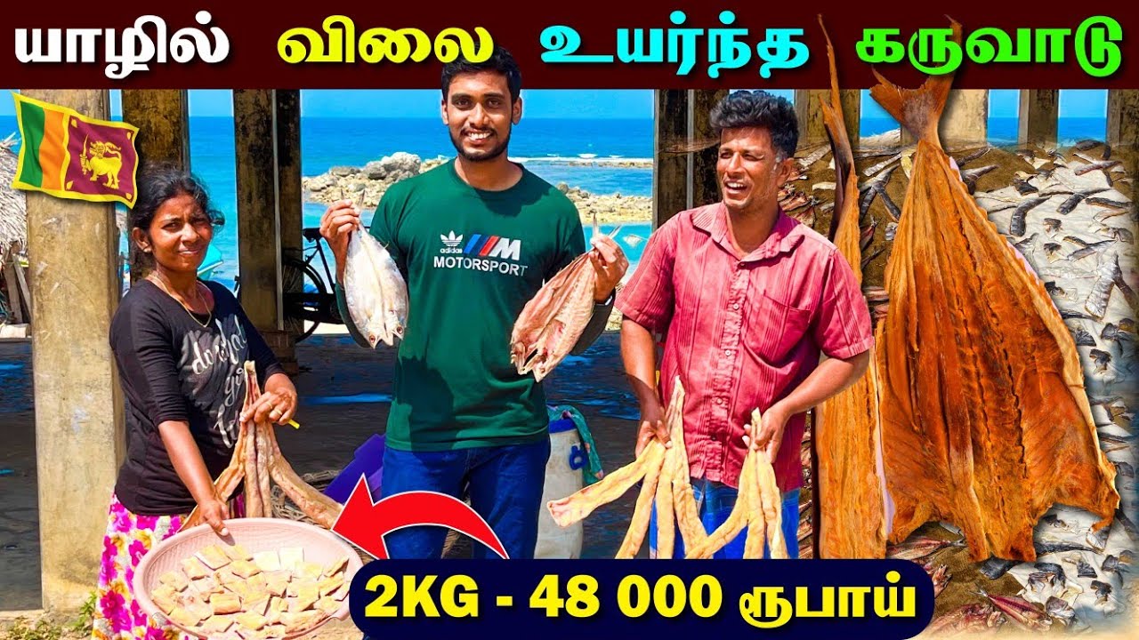 உலகிலே இது தானா சுவையான கருவாடு?? 🤔😯 | Point Pedro Karuvadu | Jaffna Thanush