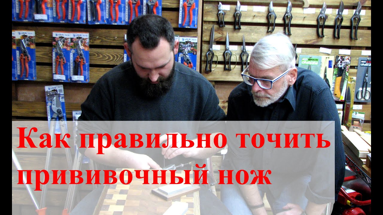 Как правильно точить прививочный нож