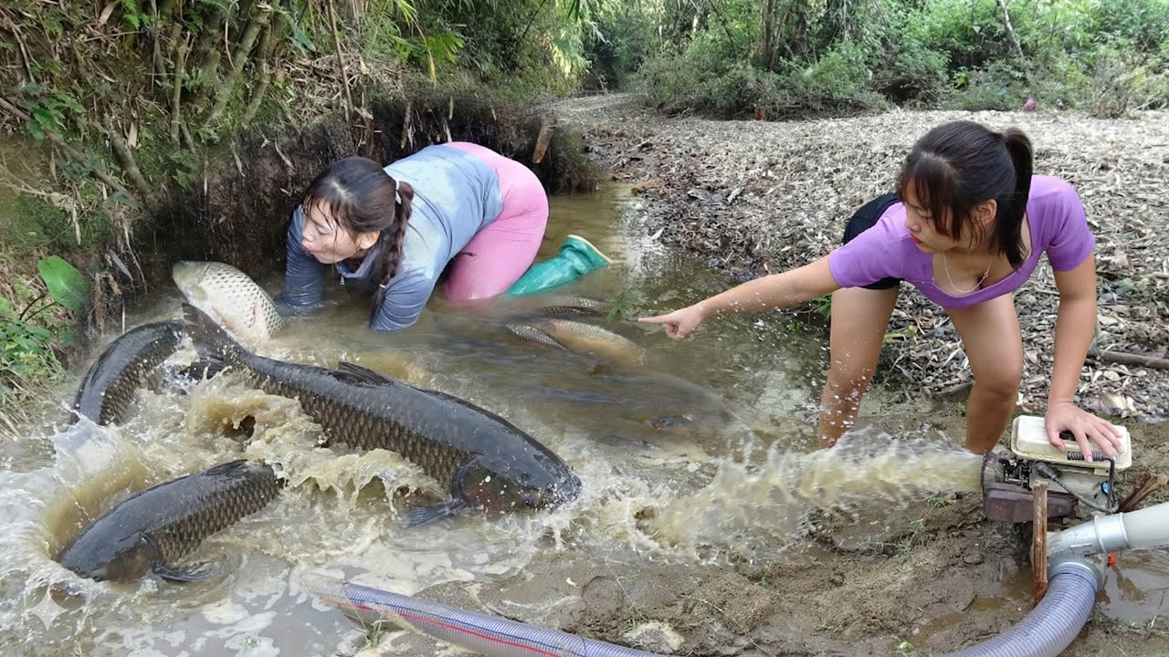 Video Memancing:Gadis Itu Dengan Cerdas Menggunakan Berbagai Teknik Memancing, Menangkap Banyak Ikan