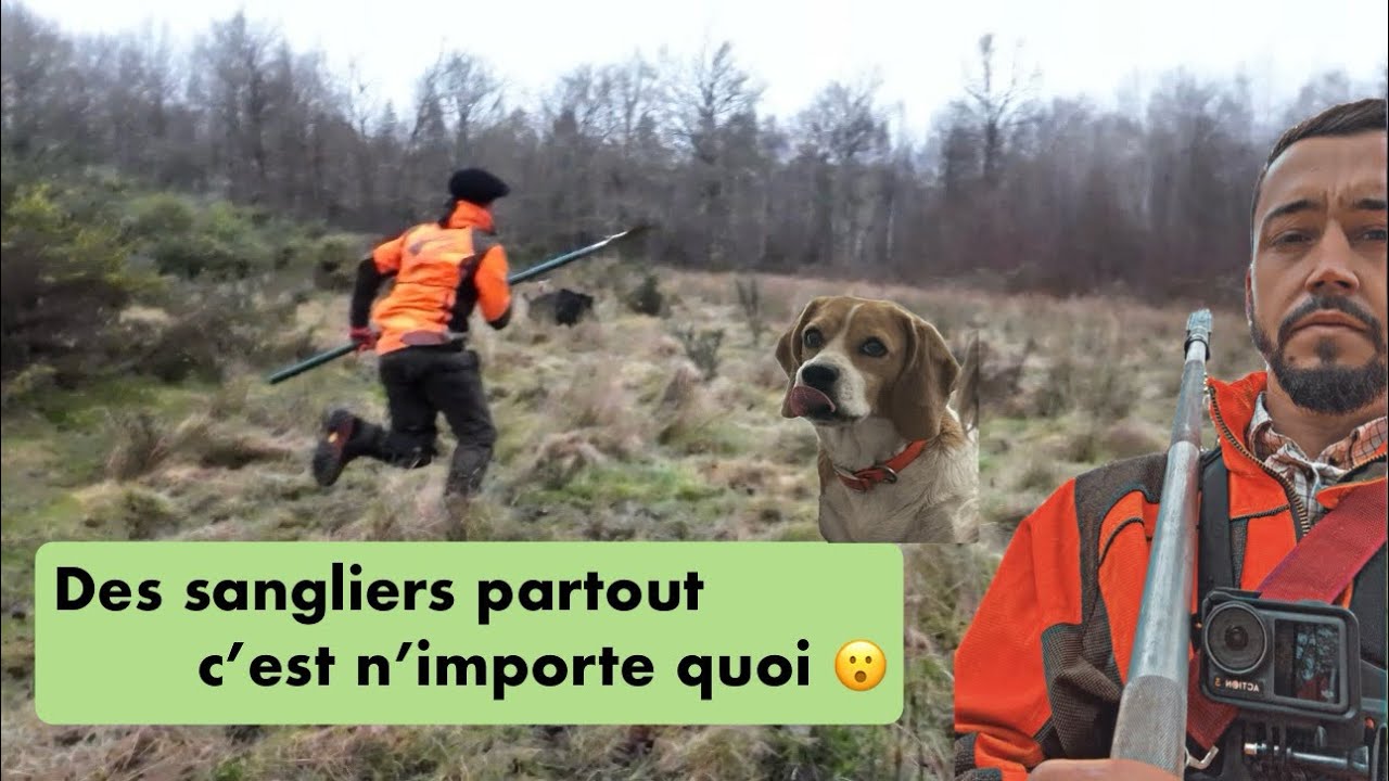 Les sangliers nous ont fait courir toute la journée !!! 😱🐗🐶