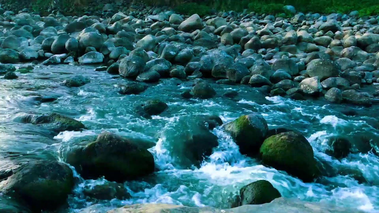 Forest River Waterfall for Body Restoration, Wellness, Mindfulness