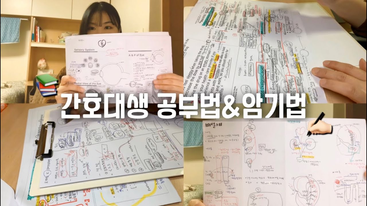 간호학과 대학생의 공부법&암기법✍🏻📚 올 A+ 학점공개💯|백지복습🗒 연상암기🧠 평소공부📒