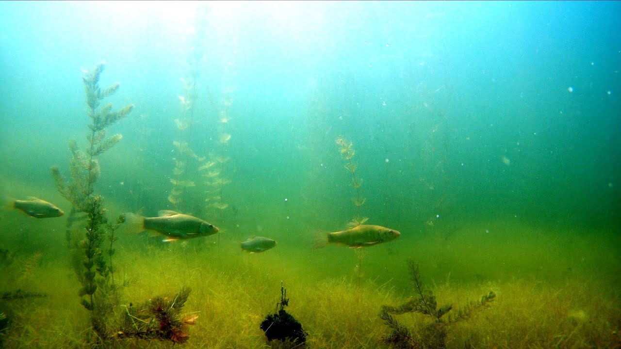 Tauchgang in die Unterwasserwelt - Henrichenburg Schiffshebewerk