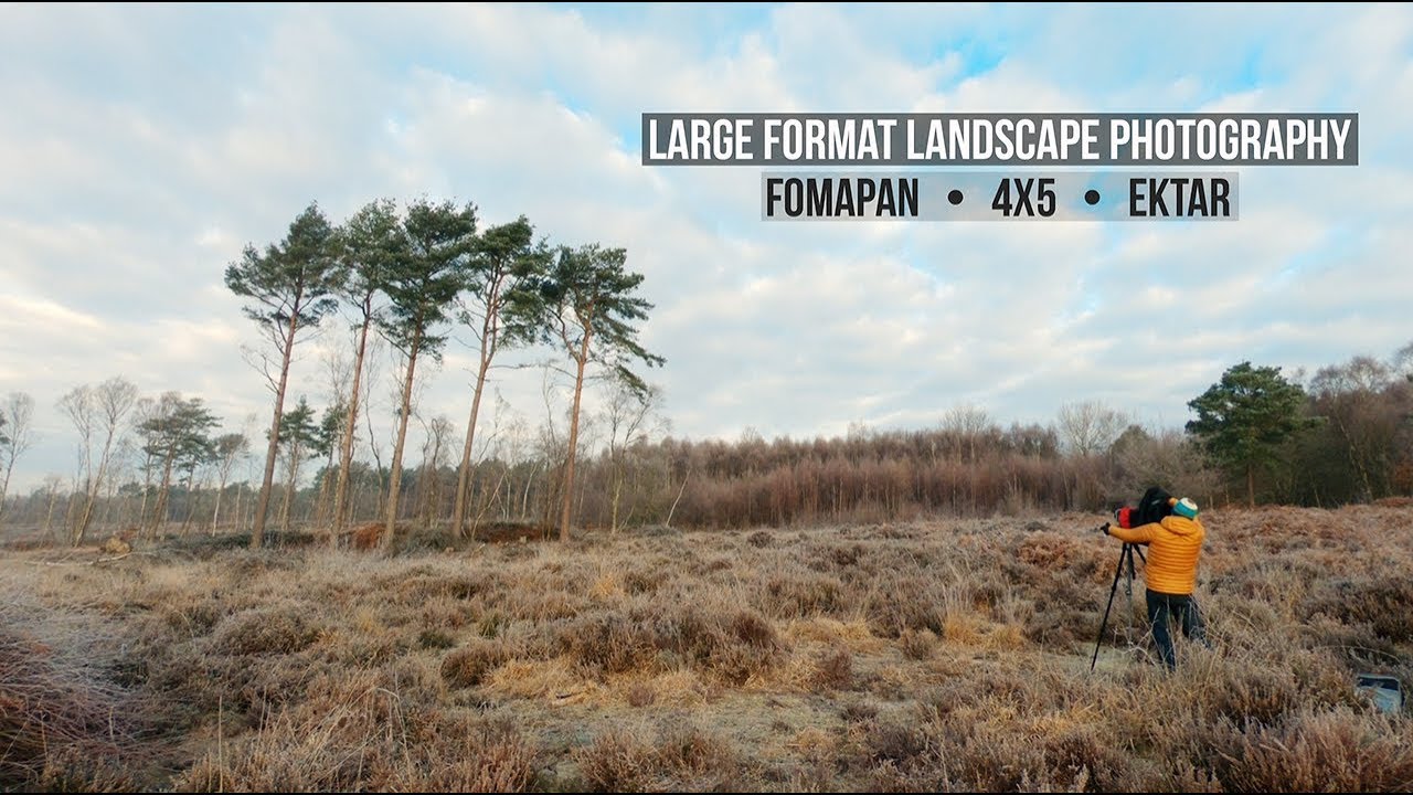 LARGE FORMAT landscape photography | 4x5 | Broadwater Warren