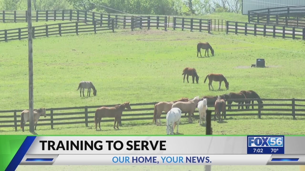 Asbury-trained horses serve in communities all over the map