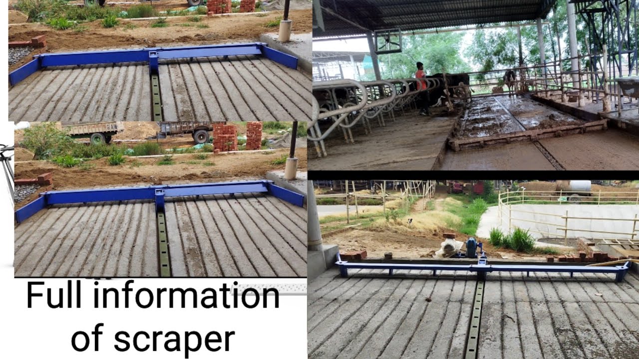 Full information of scraper and pump . 🐄Cow dung cleaning scraper fully automatic labour cost Hogi..