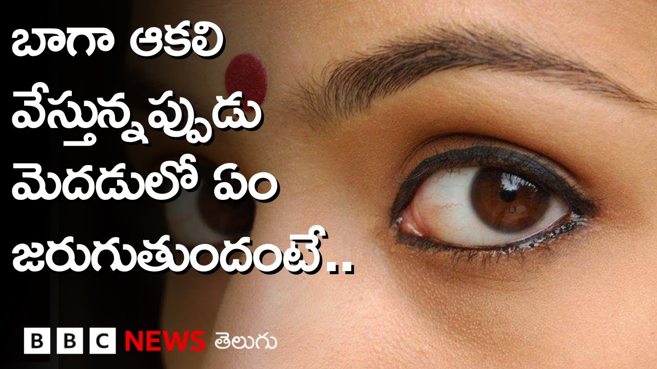 ఆకలి బాగా అవుతున్నప్పుడు మన మెదడులో ఏం జరుగుతుంది అంటే... | Explained| BBC Telugu
