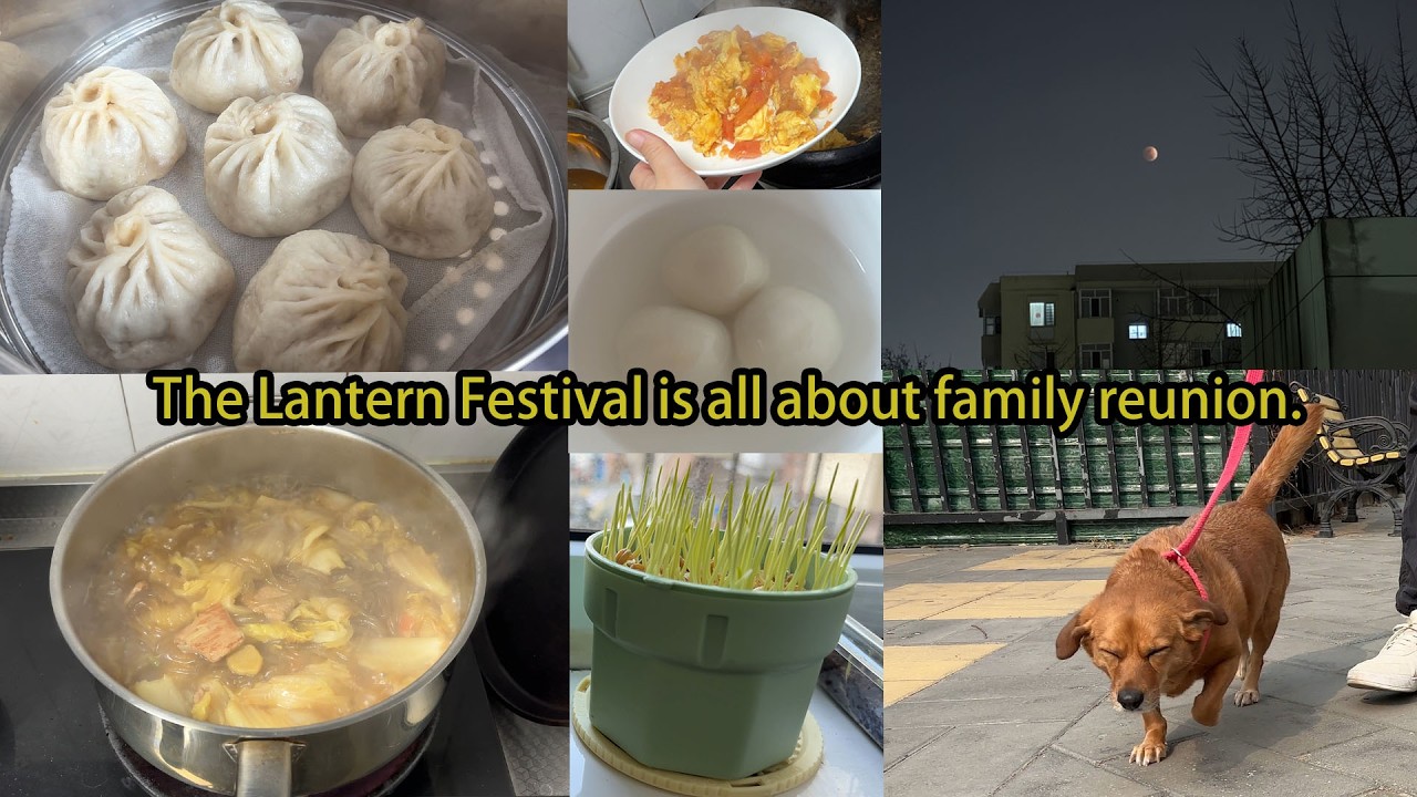 Daily life in China cn |  Lantern Festival Lunch and Planting Cat Grass