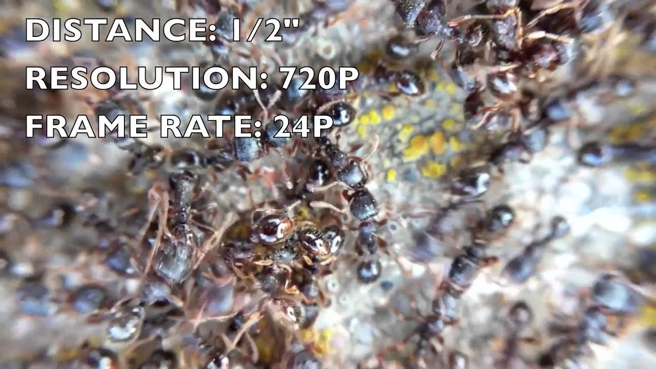 OLLOCLIP 3 IN 1 LENS IPHONE 4 REVIEW