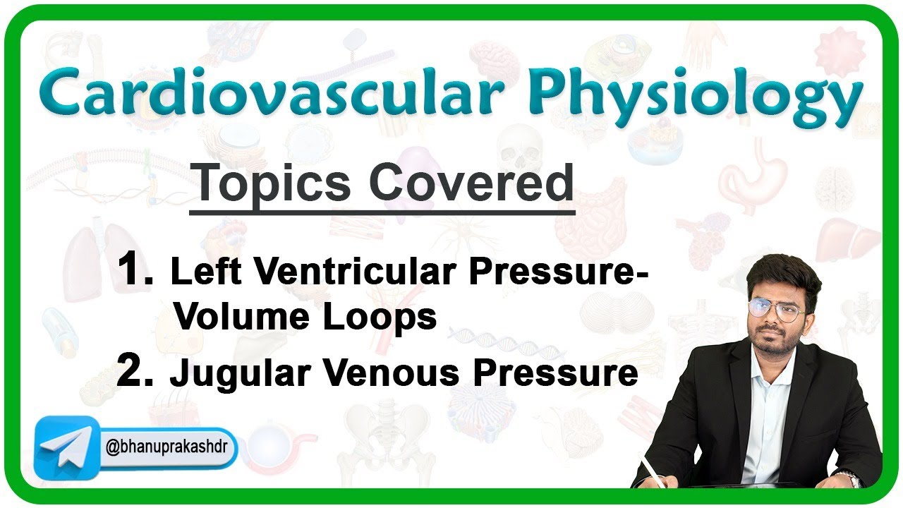 Cardiovascular Physiology - Left Ventricular Pressure-Volume Loops & Jugular Venous Pressure
