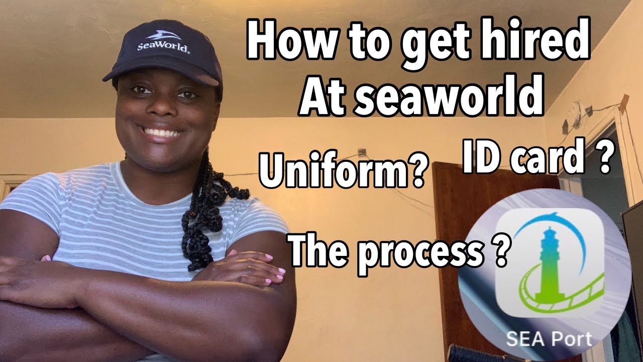 HOW TO GET HIRED AT SEAWORLD *TIPS*