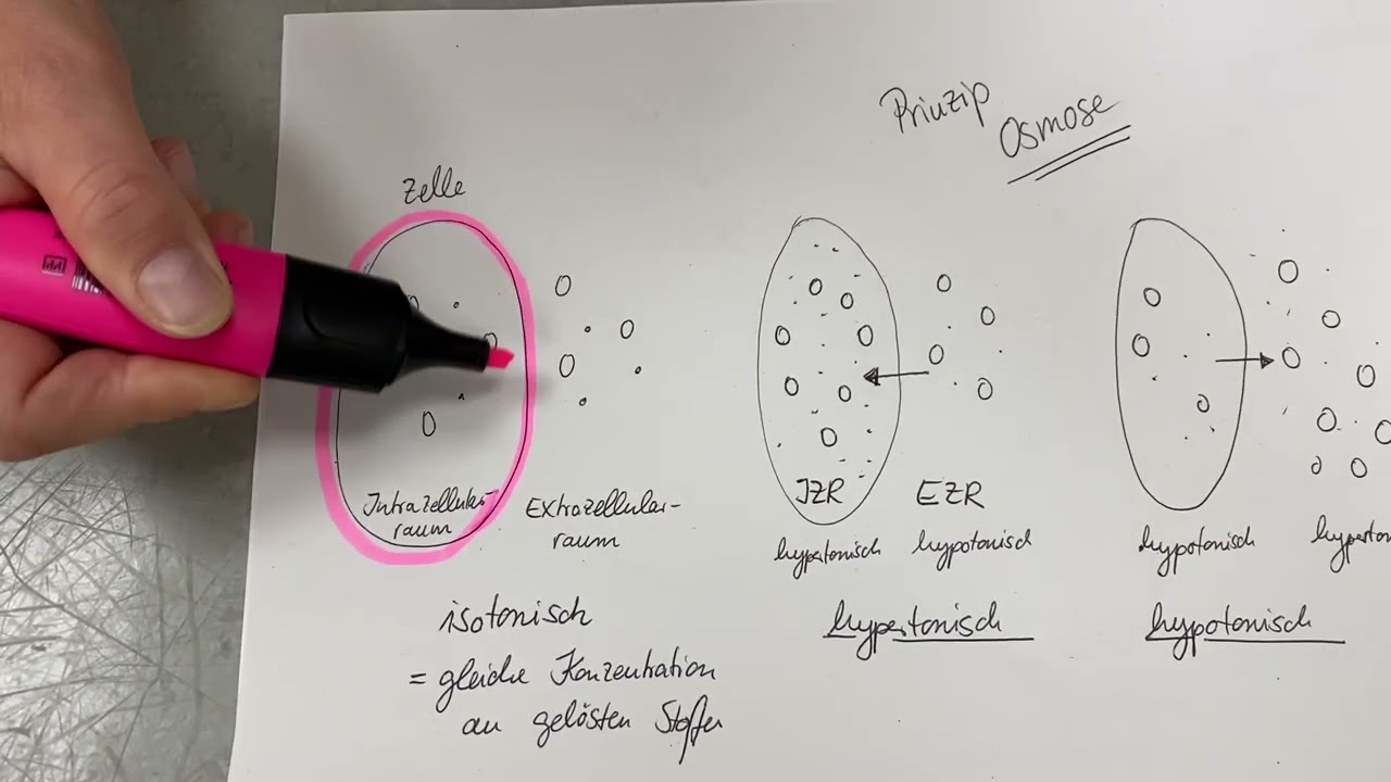 Infusion und Flüssigkeitsbedarf Teil 1