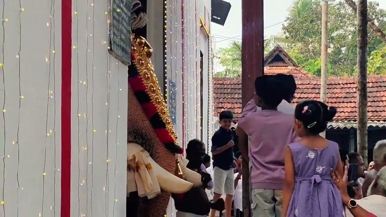 കിടങ്ങൂർ ഉത്സവം 2026# തിരുആറാട്ട് # കിടങ്ങൂർ ശ്രീ സുബ്രഹ്മസ്വാമി ക്ഷേത്രം കിടങ്ങൂർ # കട്ടച്ചിറ കവടി 