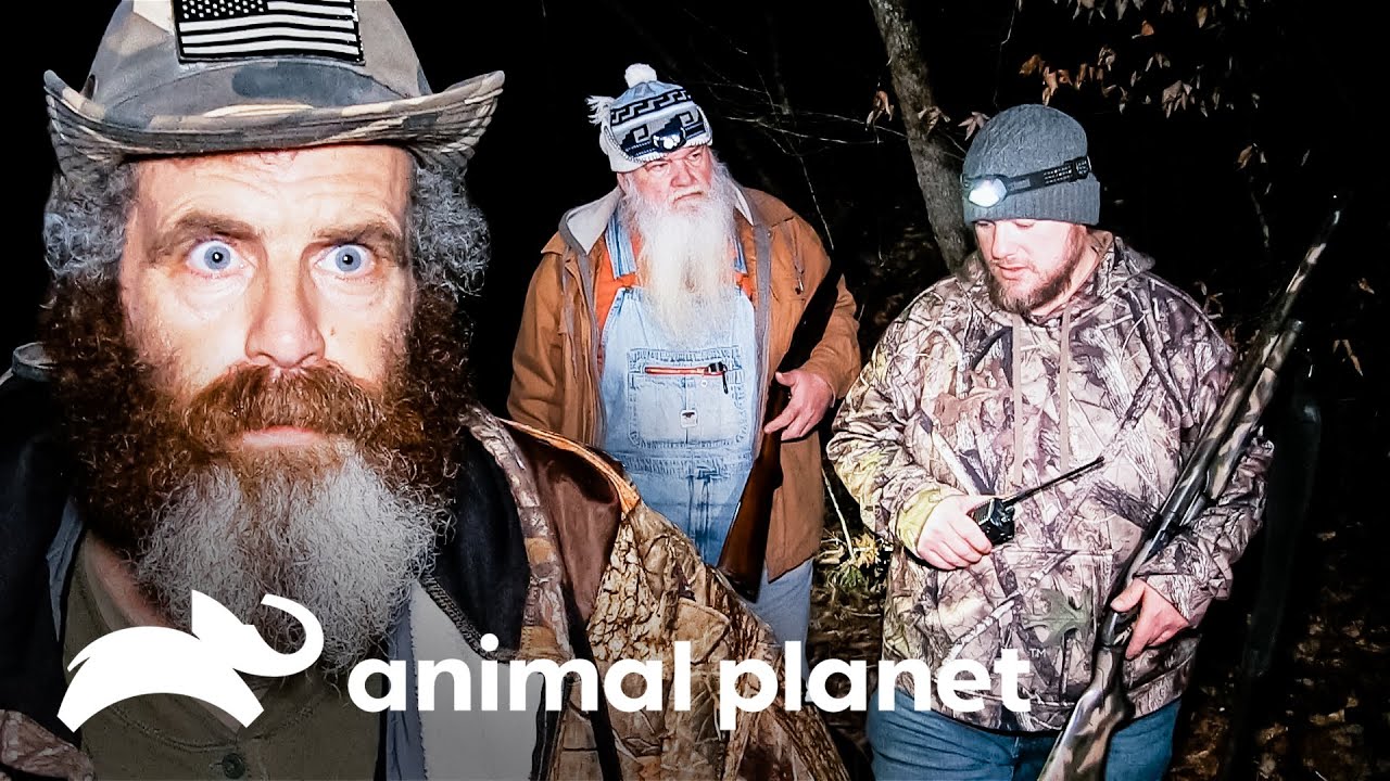 Equipe encontra as pegadas do predador misterioso | Monstros da Montanha | Animal Planet Brasil