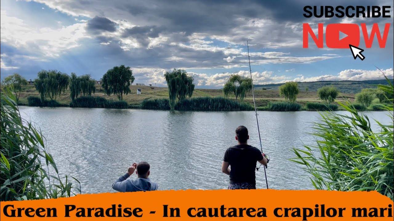 Dupa crapi mari pe Green Paradise - Pescuit mixt - Crap/Feeder