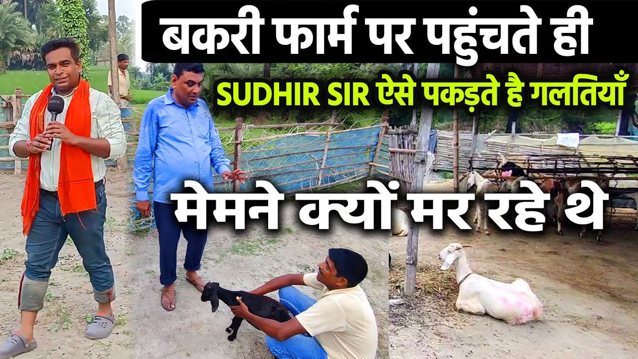 देखिए कैसे GOAT FARM 🐐पर पहुंचते ही सुधीर सर बकरी पालन में हो रही छोटी सी छोटी  गलती भी पकड़ लेते है