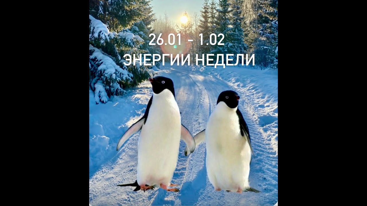 Время понимать