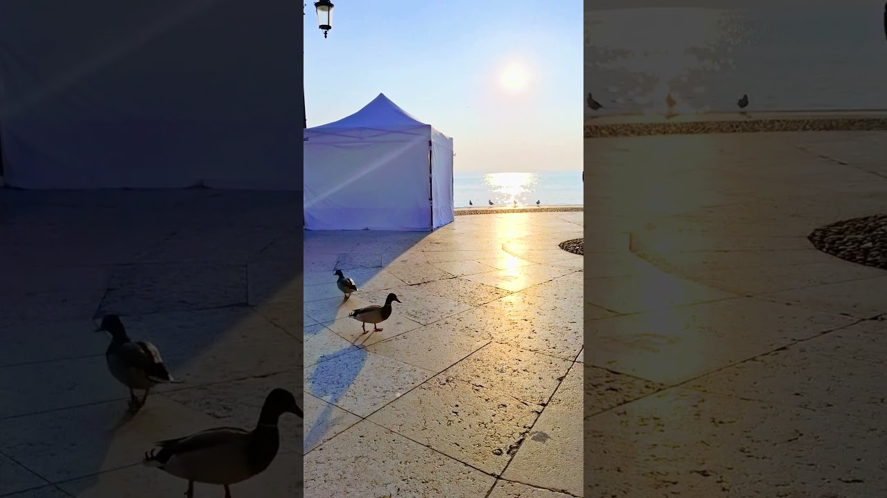 Goodmorning in Lazise 